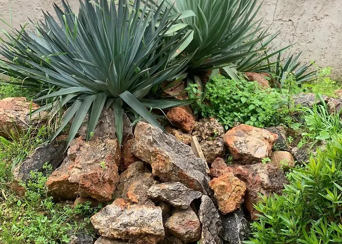 Otelito * פרפיניין